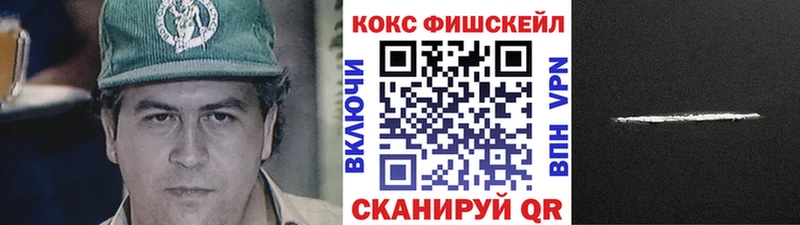 shop Telegram Арамиль COCAIN FishScale