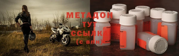 индика Пестово