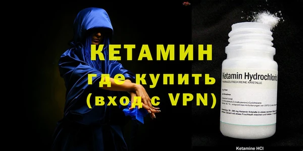 индика Пестово