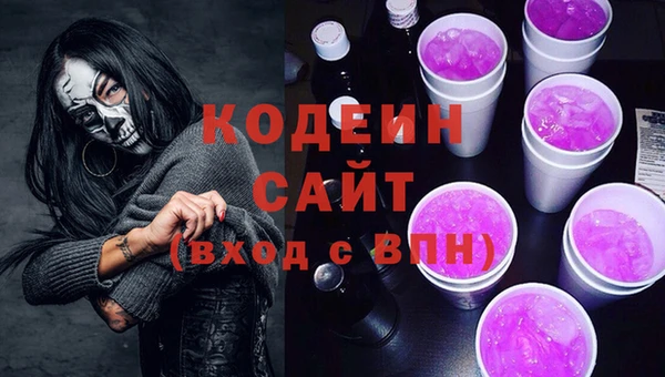индика Пестово