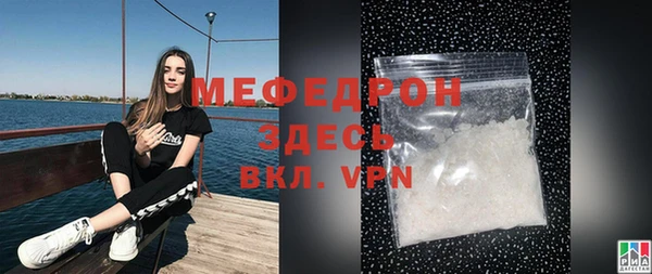 индика Пестово
